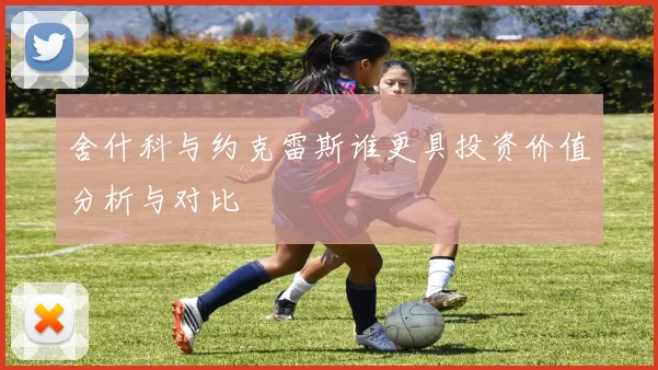 舍什科与约克雷斯谁更具投资价值分析与对比